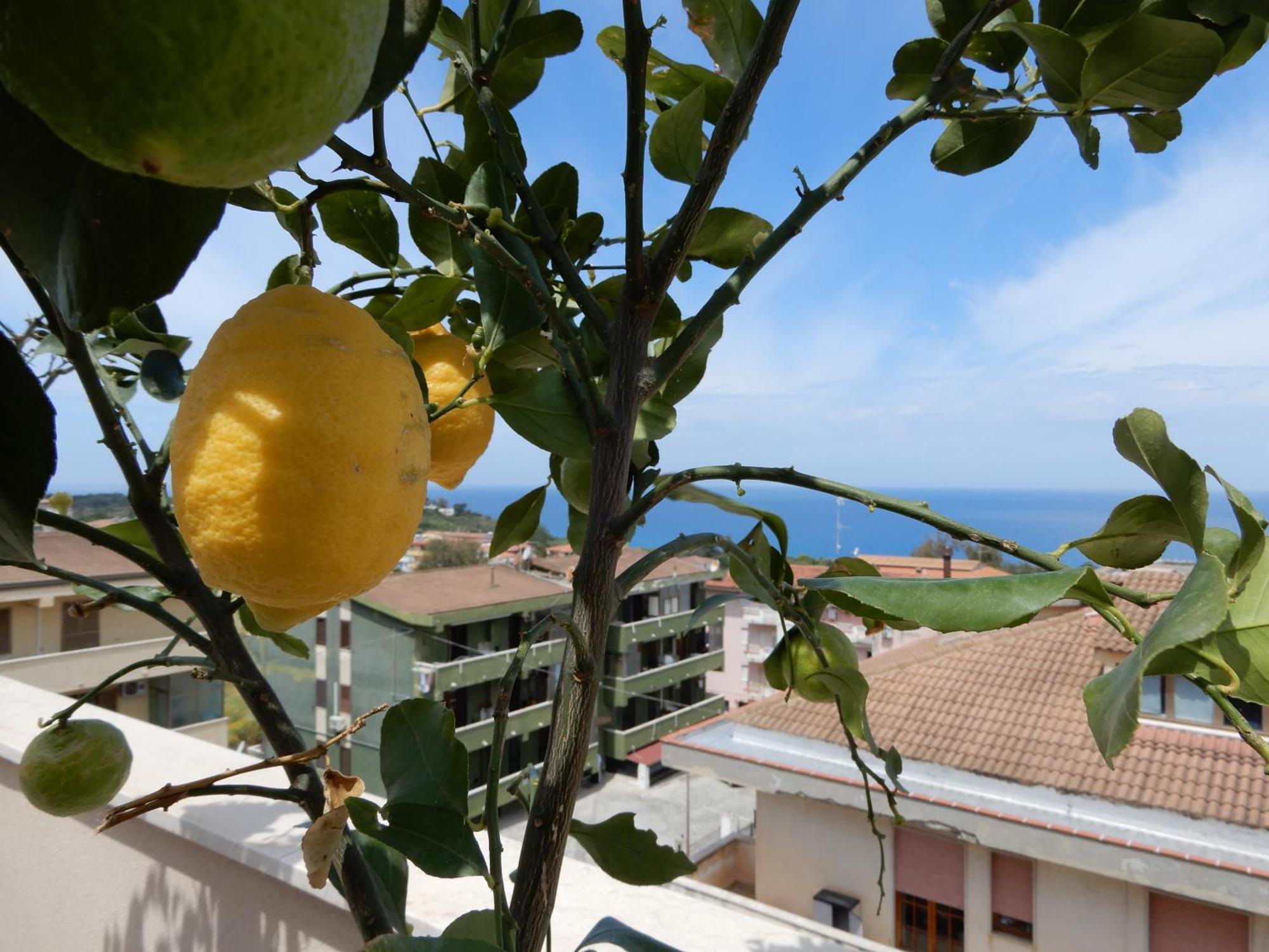 Middle Town Palace Tropea Exterior foto